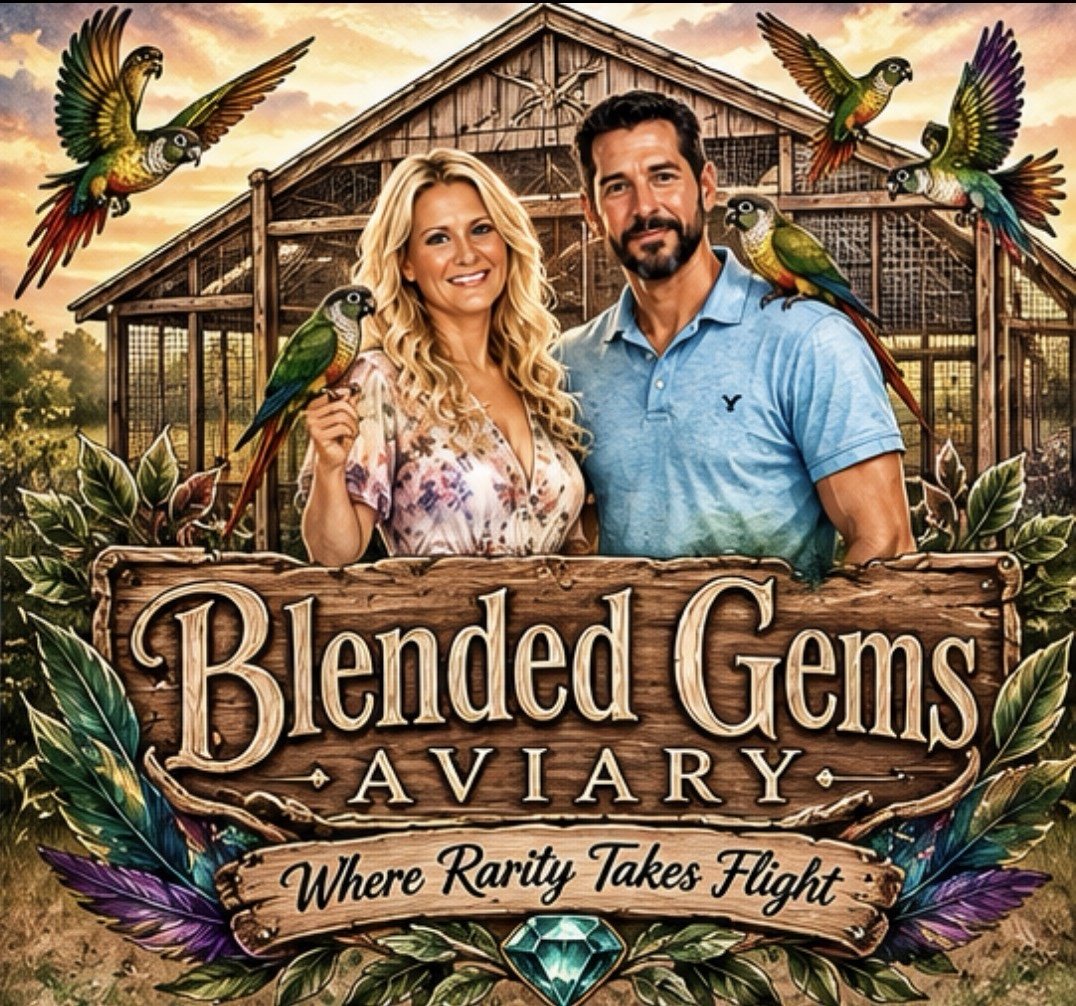 Blended Gems Aviary